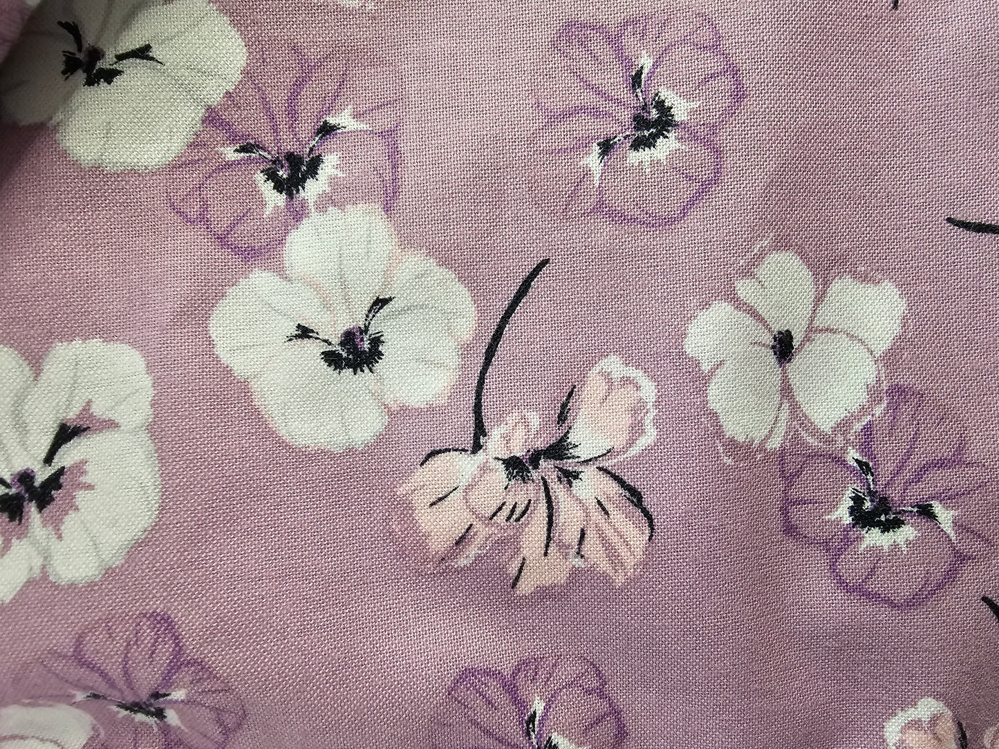 White and pink flowers